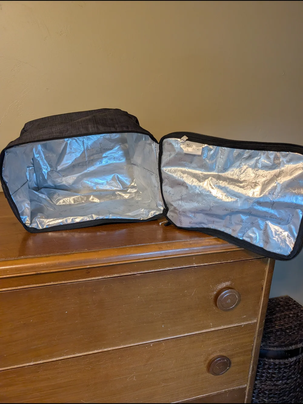 thirty -one Gray Insulated Travel Organizer Bag Carry Case 24 Pack Cooler
